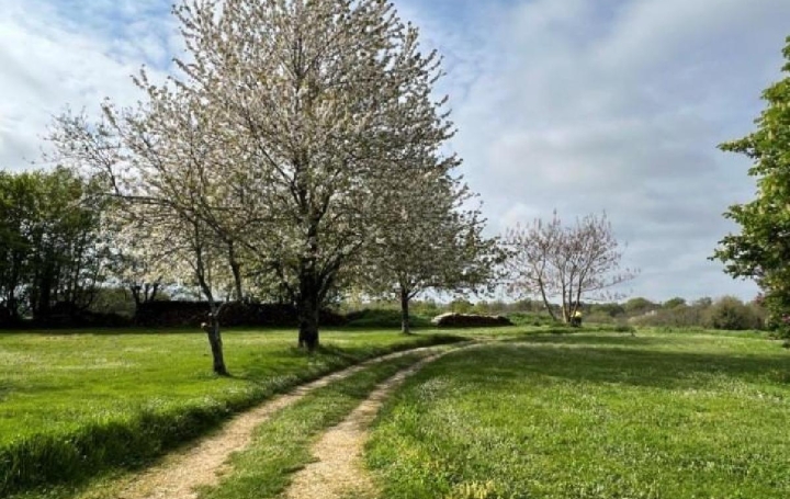 Maison NANTEUIL-EN-VALLEE (16700)  180 m2 149 950 € 