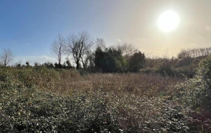 Maison SAUZE-VAUSSAIS (79190)  103 m2 70 000 € 