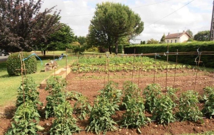 Maison VERTEUIL-SUR-CHARENTE (16510)  220 m2 297 800 € 