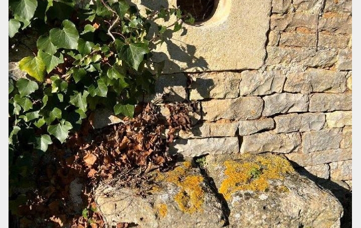 Maison VILLEFAGNAN (16240)  72 m2 22 000 € 