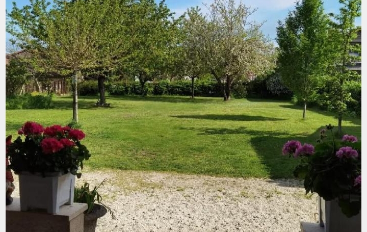 Maison CIVRAY (86400)  185 m2 249 950 € 