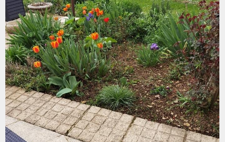 Maison CIVRAY (86400)  185 m2 249 950 € 