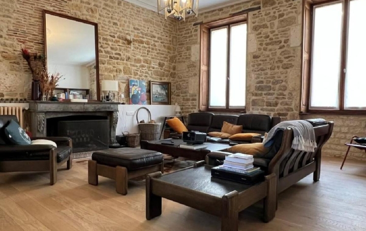 Maison RUFFEC (16700)  455 m2 442 100 € 
