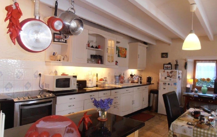 Maison SAUZE-VAUSSAIS (79190)  203 m2 258 500 € 