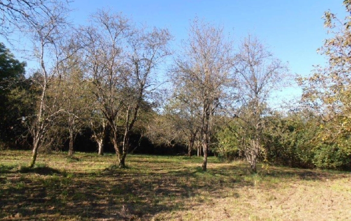 Maison LEZAY (79120)  180 m2 234 000 € 