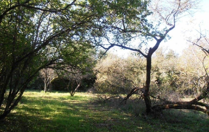 Maison LEZAY (79120)  180 m2 234 000 € 