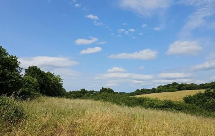 Maison SAINT-CLAUD (16450)  99 m2 86 000 € 