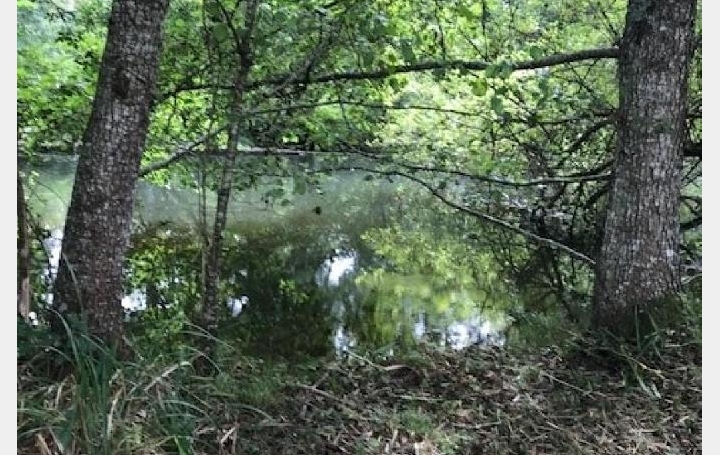 Maison CIVRAY (86400)  137 m2 195 000 € 