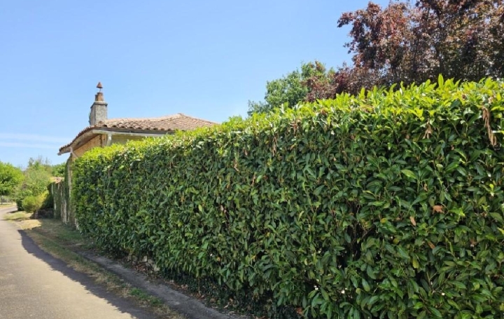 Maison CHAMPAGNE-MOUTON (16350)  140 m2 234 000 € 