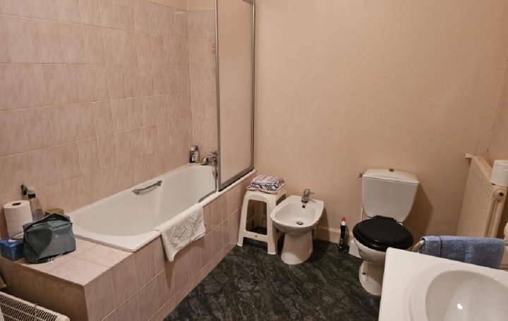 Maison VILLEFAGNAN (16240)  258 m2 185 000 € 