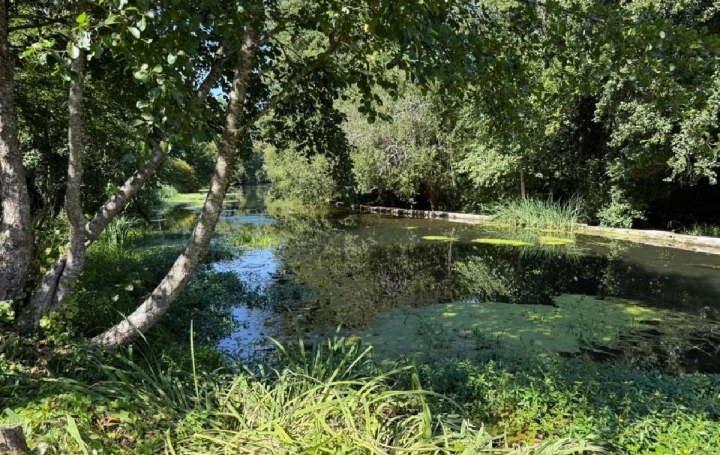 Maison CIVRAY (86400)  99 m2 117 645 € 