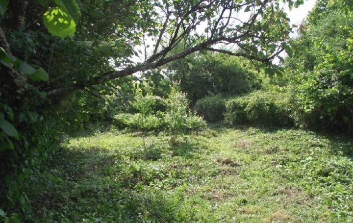 Maison AUNAC (16460)   14 000 € 