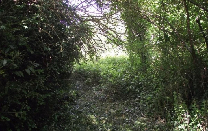 Maison AUNAC (16460)   14 000 € 