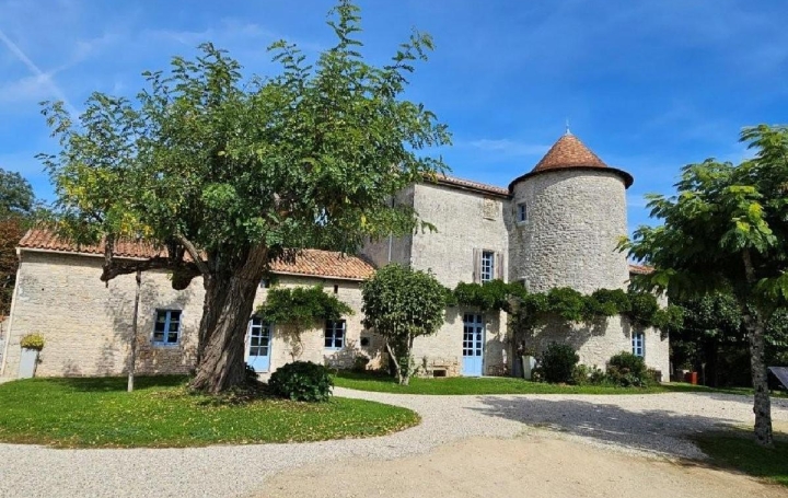 Maison CIVRAY (86400)  258 m2 473 500 € 