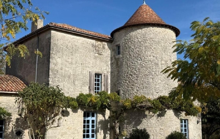 Maison CIVRAY (86400)  258 m2 473 500 € 