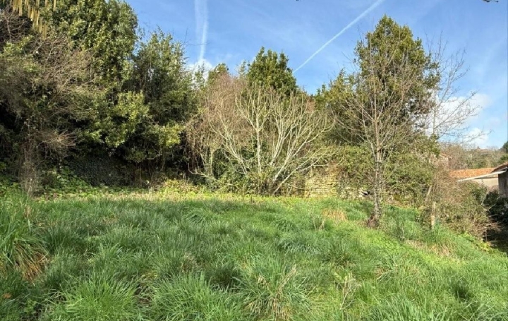 Maison NANTEUIL-EN-VALLEE (16700)  175 m2 175 500 € 