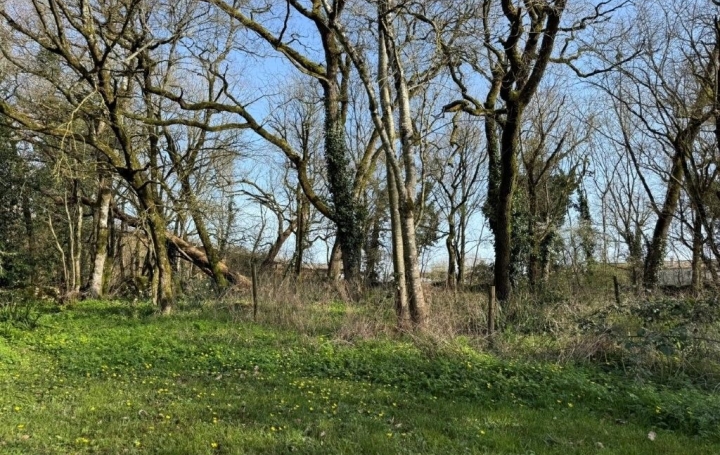 Maison VILLEFAGNAN (16240)  150 m2 170 200 € 