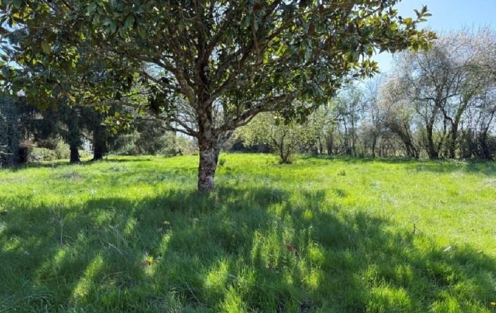 Maison CIVRAY (86400)  139 m2 129 000 € 