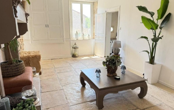 Maison CIVRAY (86400)  227 m2 249 950 € 