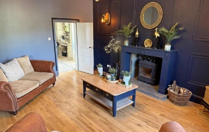 Maison CIVRAY (86400)  227 m2 249 950 € 