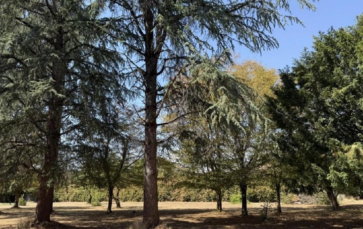 Maison VERTEUIL-SUR-CHARENTE (16510)  170 m2 210 000 € 