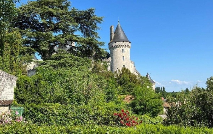 Maison VERTEUIL-SUR-CHARENTE (16510)  160 m2 199 000 € 