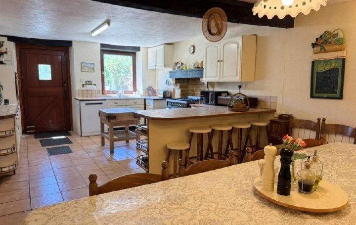 Maison CIVRAY (86400)  240 m2 368 400 € 