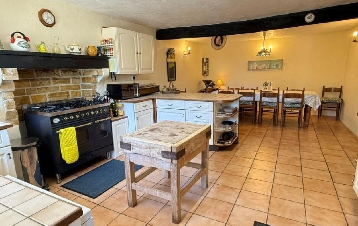 Maison CIVRAY (86400)  240 m2 368 400 € 