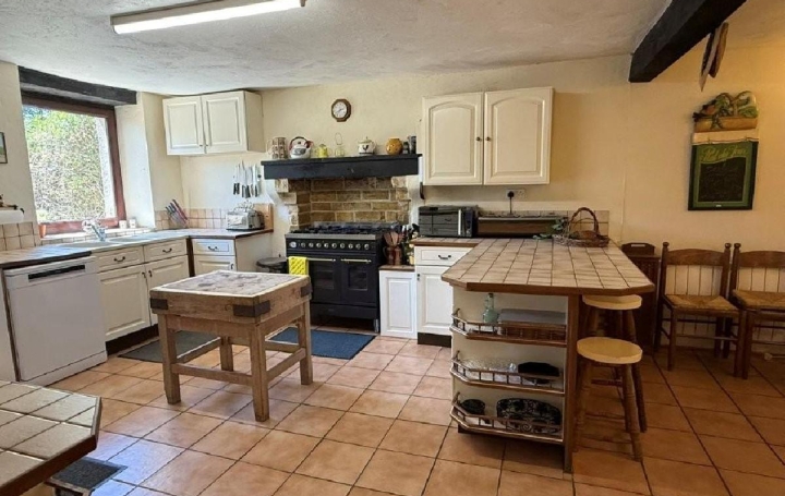Maison CIVRAY (86400)  240 m2 368 400 € 