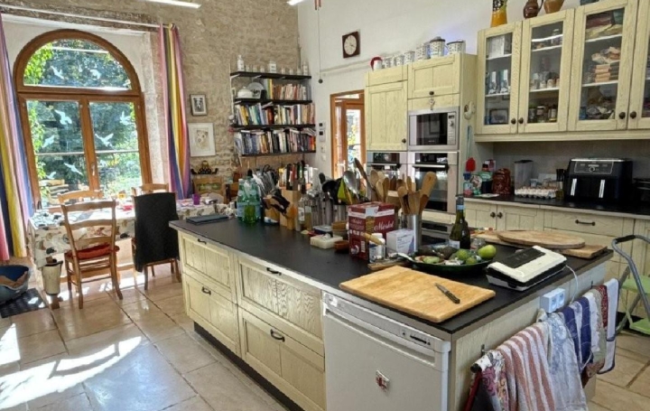Maison RUFFEC (16700)  338 m2 425 000 € 