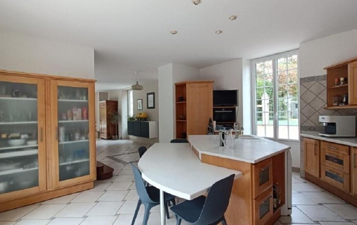 Maison COUHE (86700)  303 m2 625 000 € 