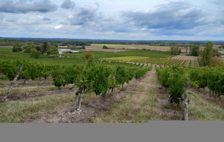 Maison RAZAC-DE-SAUSSIGNAC (24240)  450 m2 850 000 € 