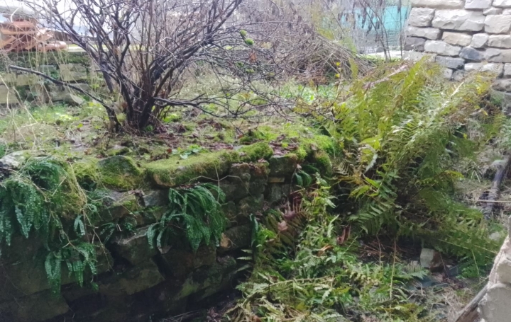 Maison / Villa GRIPPORT (54290) 100 m<sup>2</sup> 25 000 € 