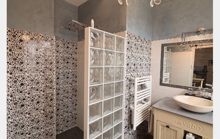 Maison TERVAL (85120)  213 m2 287 500 € 