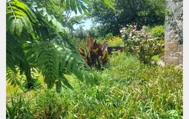 Maison / Villa BERGERAC (24100) 240 m<sup>2</sup> 320 000 € 