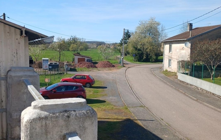 Maison de village SAINT-PIERREMONT (88700)  299 m2 196 700 € 