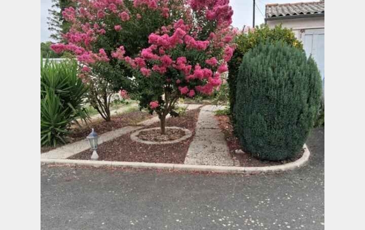 Maison FONTENAY-LE-COMTE (85200)  144 m2 172 500 € 