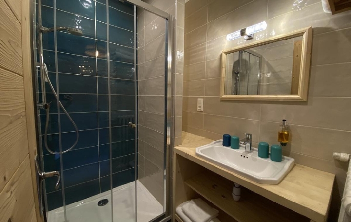 Local commercial LE BOURG-D'OISANS (38520)  1 500 m2 2 092 000 € 