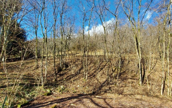 Terrain ALLEMOND (38114)  5 250 m2 515 000 € 