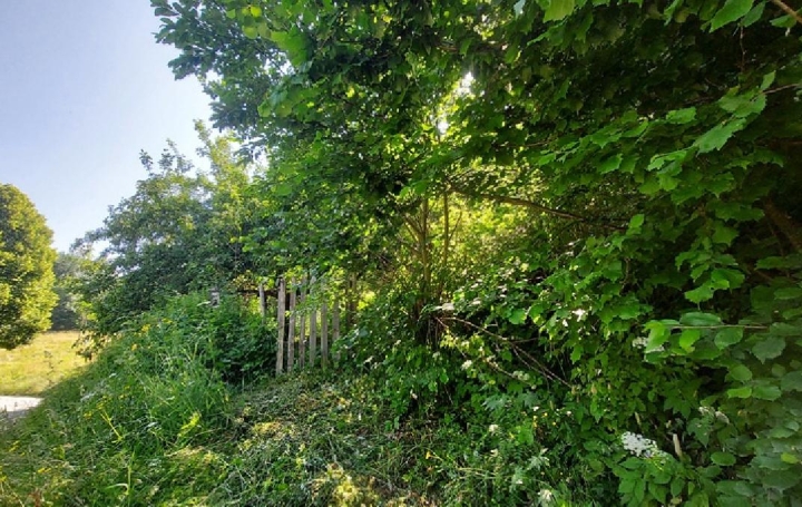 Terrain OZ (38114)  744 m2 310 000 € 