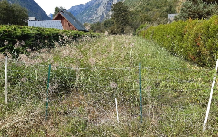 Terrain ALLEMOND (38114)  1 204 m2 77 000 € 