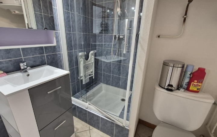 3 Pièces ALLEMOND (38114)  47 m2 180 000 € 