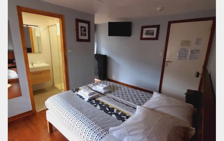 Activité commerciale FERRIERES-SAINT-MARY (15170)  267 m2 350 000 € 