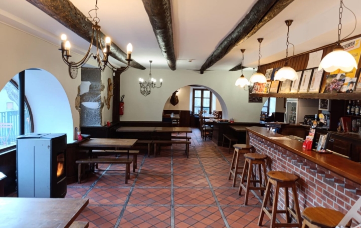 Activité commerciale FERRIERES-SAINT-MARY (15170)  267 m2 350 000 € 