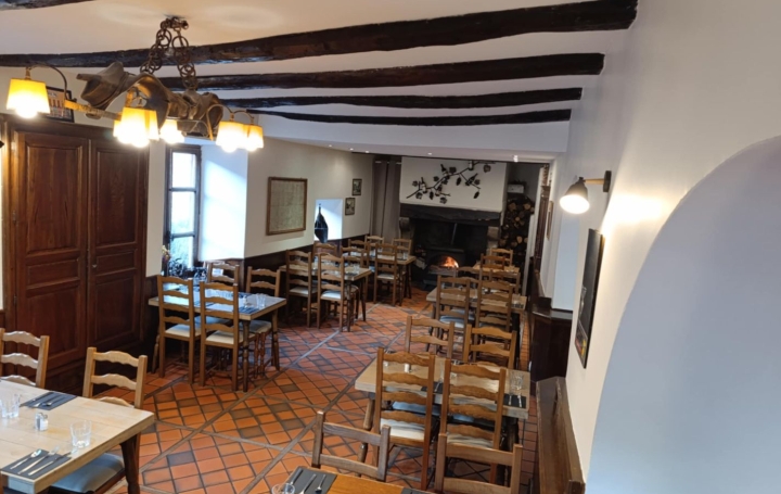 Activité commerciale FERRIERES-SAINT-MARY (15170)  267 m2 350 000 € 