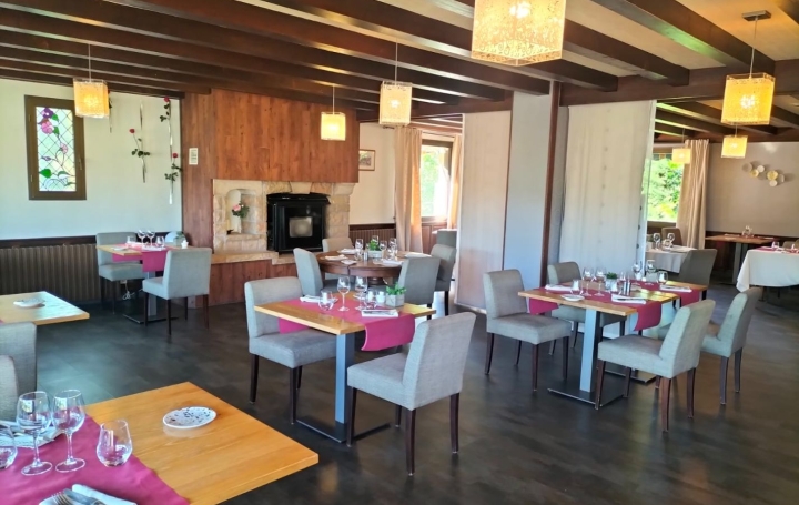 Local commercial NEUVEGLISE-SUR-TRUYERE (15260)  680 m2 630 000 € 