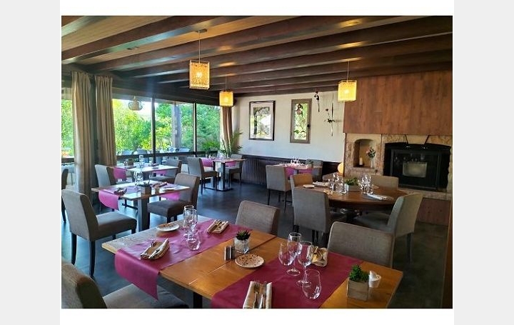 Local commercial NEUVEGLISE-SUR-TRUYERE (15260)  680 m2 630 000 € 