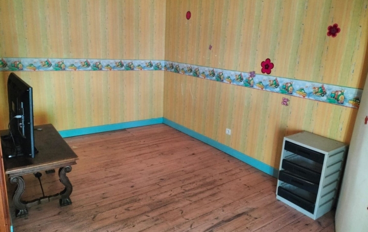 Immeuble BLESLE (43450)  183 m2 133 100 € 