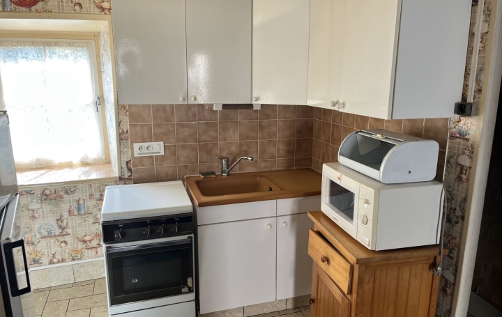 Maison GRENIER-MONTGON (43450)  43 m2 43 000 € 