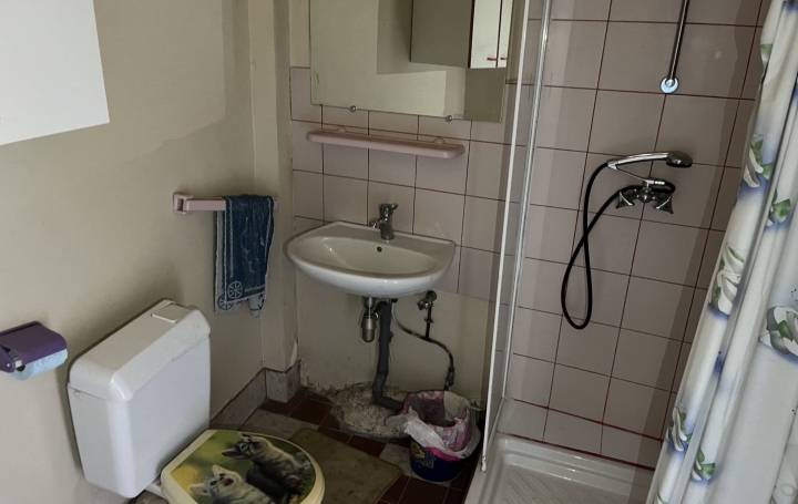 Maison GRENIER-MONTGON (43450)  43 m2 43 000 € 